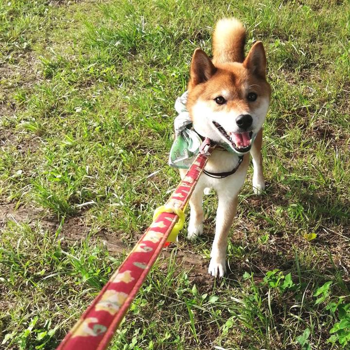 53858440 e33d 4b83 a6bc f3e9063973bd 1593160170284