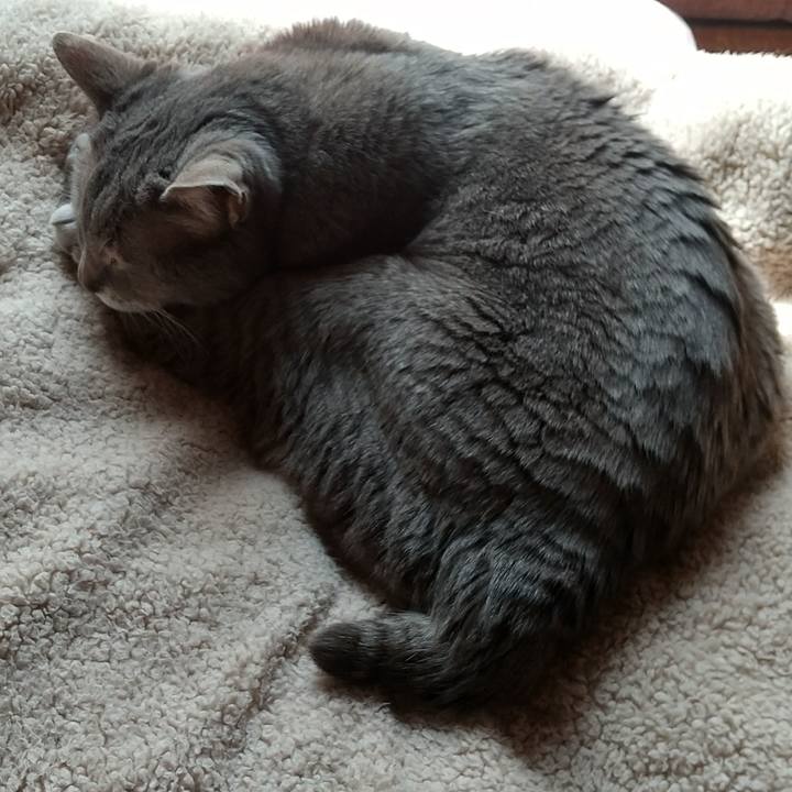 538585e5 d33c 433e 8bc7 f9d0b774830d 1682725024446