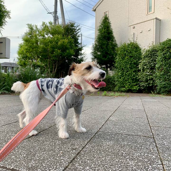 5385893a 53d1 4ba2 9aa4 1568a2cdedd9 1623412607641