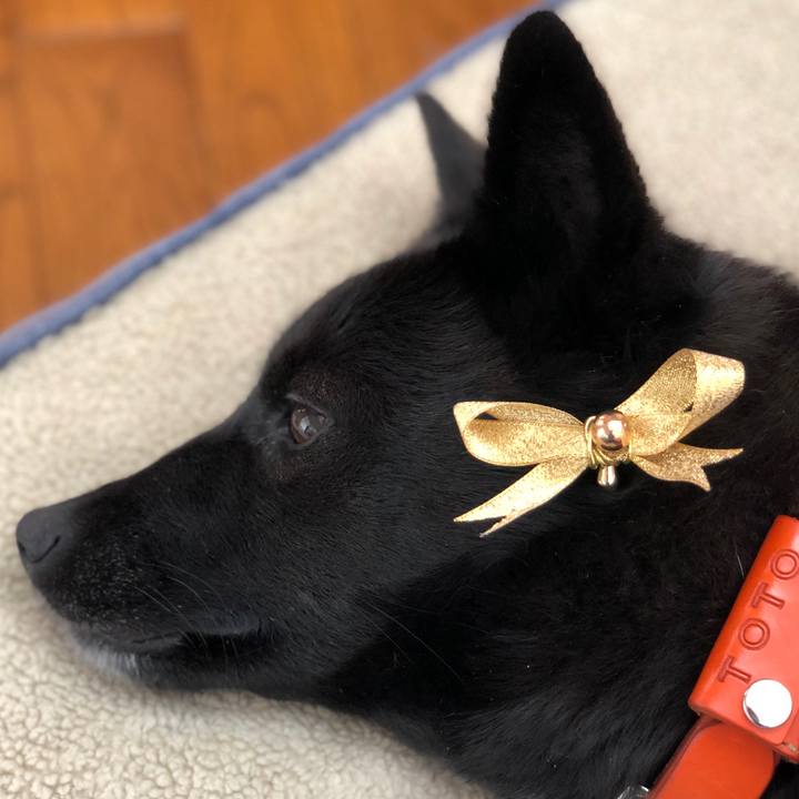 538592ad f78a 4c79 b283 ba667fff1c7d 1615420163898