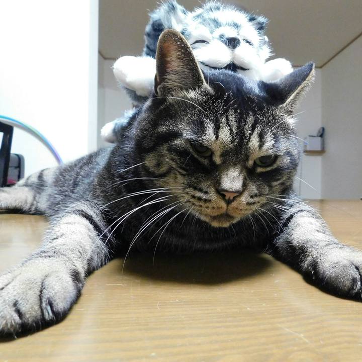 538595ea 3c2a 41a4 80ee c4ddaf1de52f 1570185494106