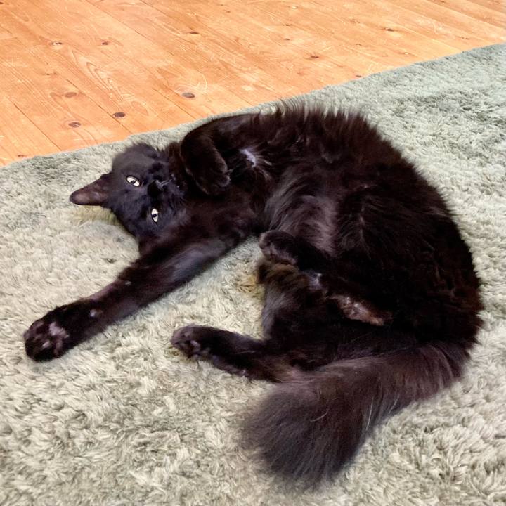 5385c64c d5bb 4f00 8d7f 9cd6a4d45707 1746088277208