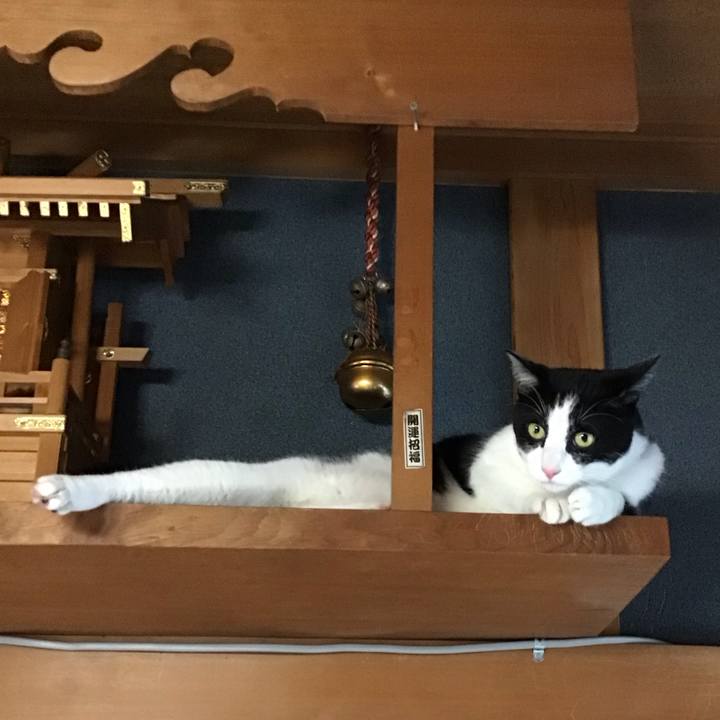 5385d5f6 75f8 443e 9d78 95fc1fc98e09 1690631146384