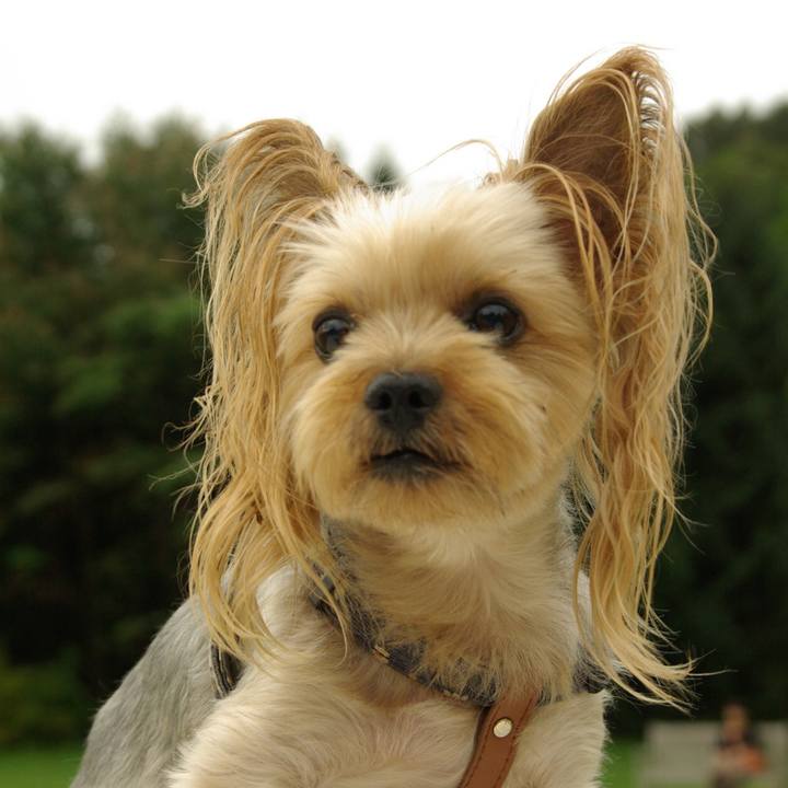 5385e85d b77a 4d8f b826 3d3fa65ad47f 1537082748941