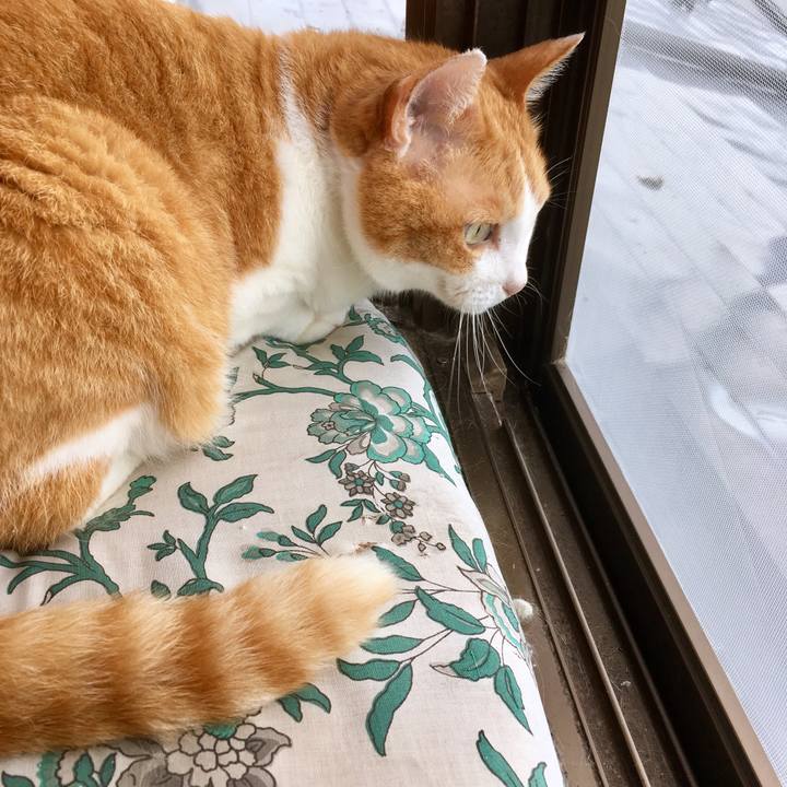 5385eda2 2187 4136 8d4e c584fd9a721f 1562294471014