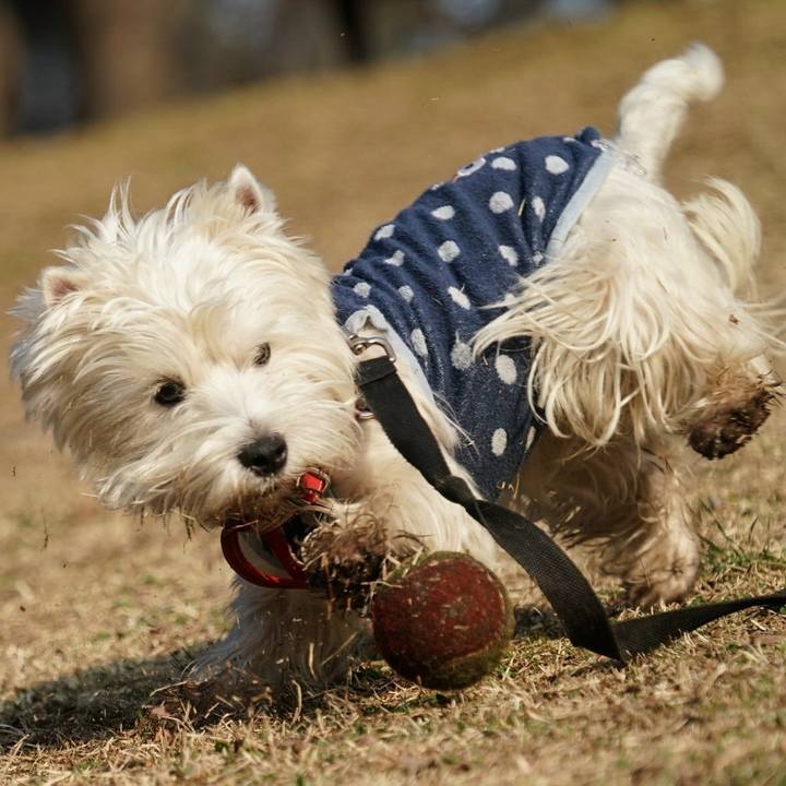 5385edbd 1026 4d45 985e 2462a351c6cc 1520939605619