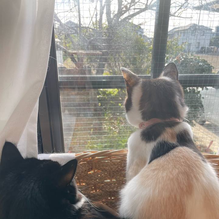 53861c58 3b58 413b 9b35 63e18a9a1979 1735607936075