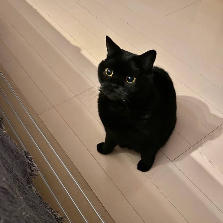 53863734 b332 4263 845c a5e0c356ada0 1734614439453