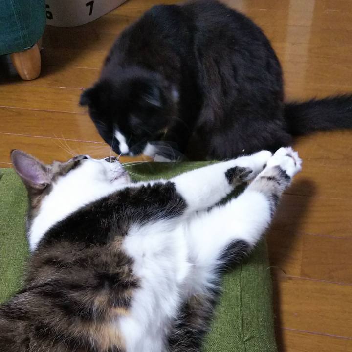 53865155 dab7 4a25 b94f 1678e734fbdf 1643291200145