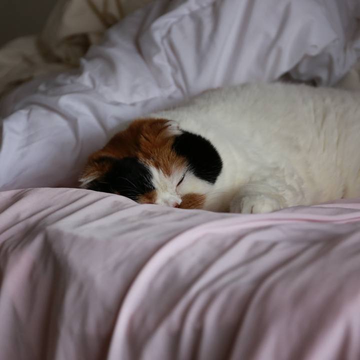 53865985 ae79 4707 8794 7e39cb276d82 1575899353360