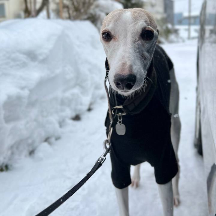 53866389 6b84 4fc8 a9a6 c117aba078bc 1768812548496