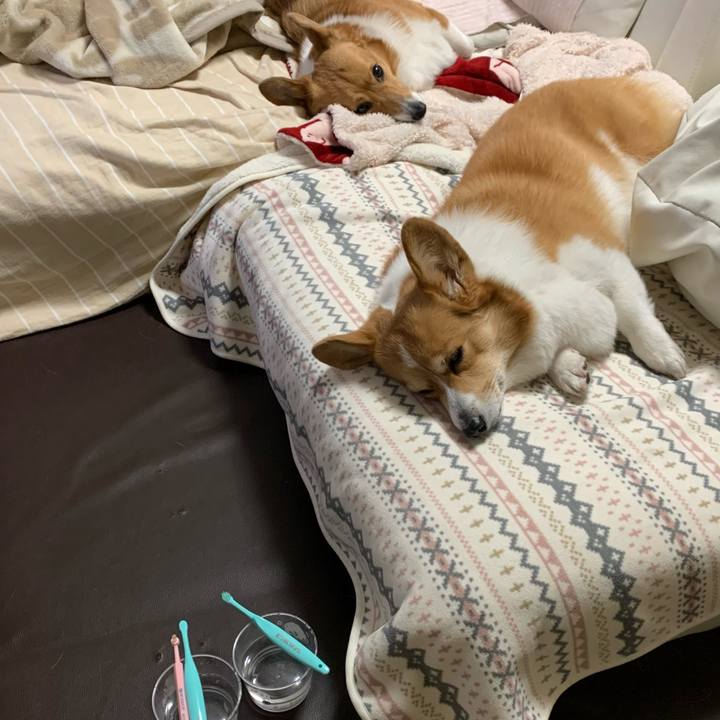 5386b785 4e0a 4917 9eea d1a47f5e6de4 1611144629370