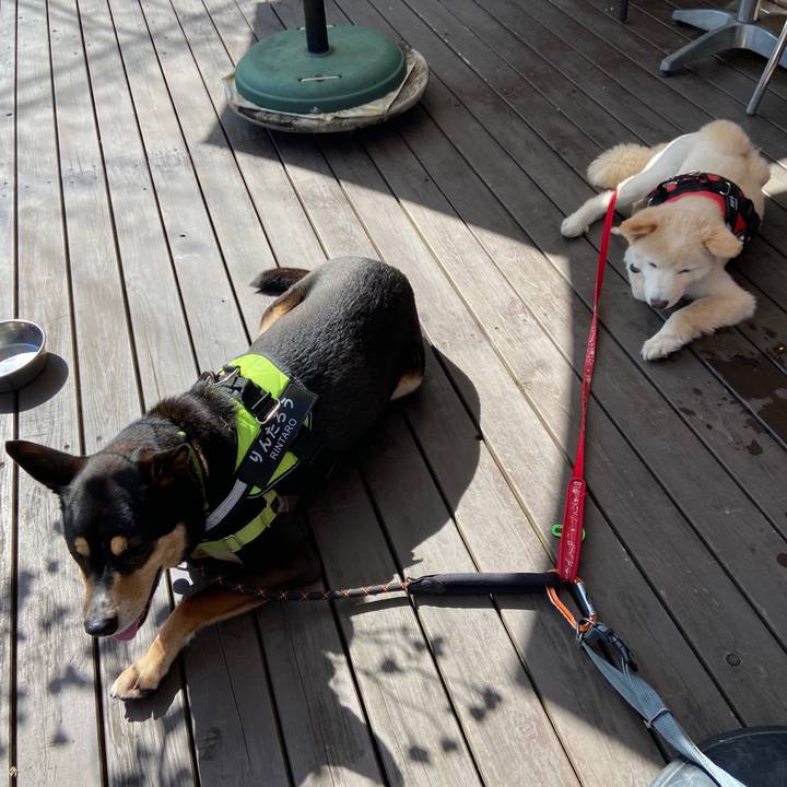 5386ce44 eb61 4d1b b187 8350a80b21f8 1681125021596