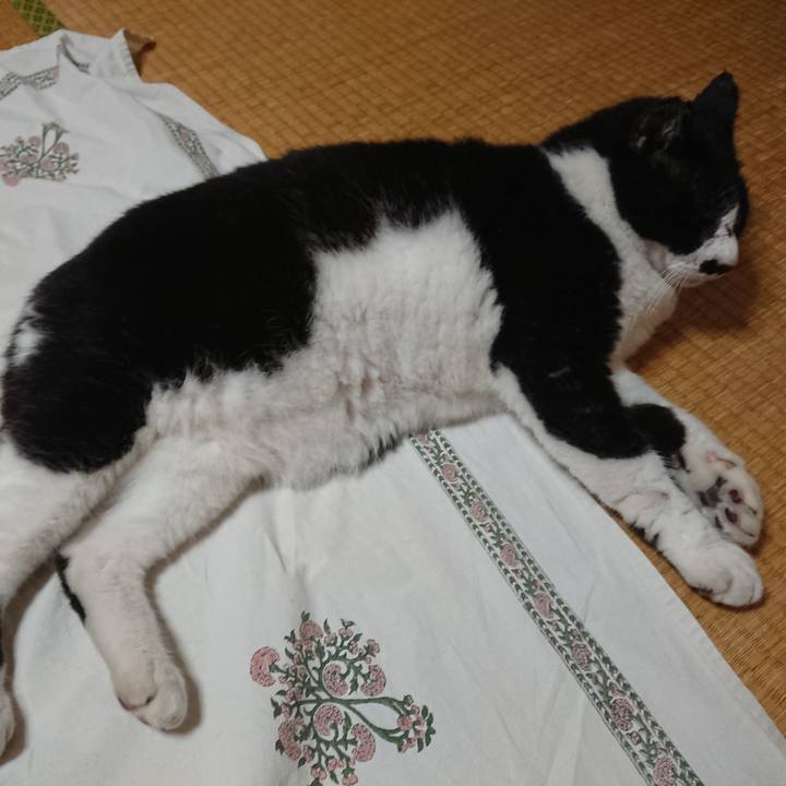 5386f633 3d3b 403a ad88 6a71d4b92de0 1598523525980