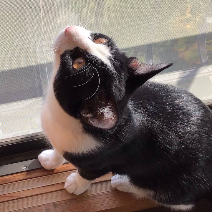 5387056e a5ba 49f8 a29f 51b744ef4b0e 1637036690583