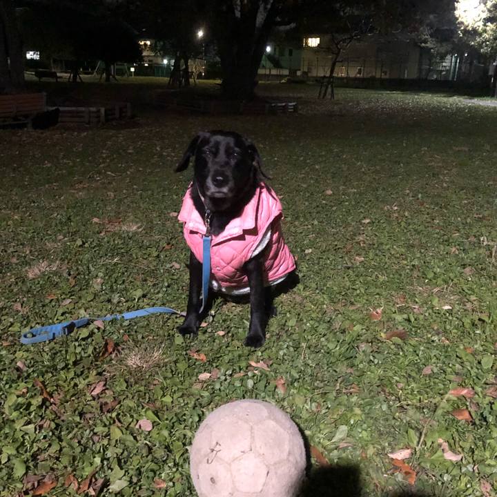 5387098f dd57 4bac 8c09 dff448902f4b 1544615111270