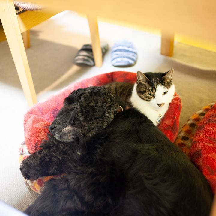 5387325f 8f35 4b3f 84ea 42c444c1b61a 1611047826651