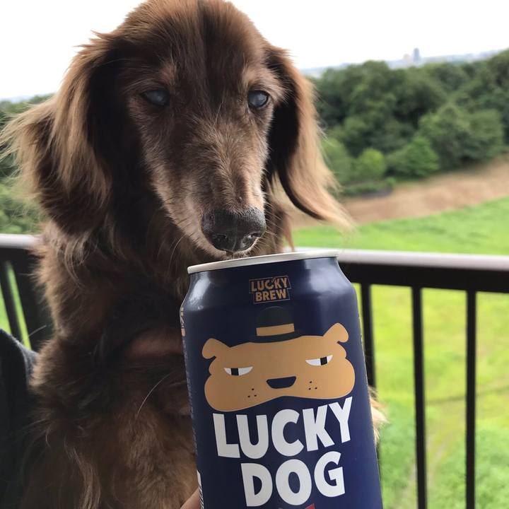 538741ee 183f 409b 941a f81fcff26ac5 1594880092453