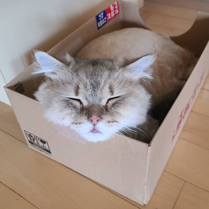 5387535c 7a0a 4988 9ba7 c861cef68300 1658908753522