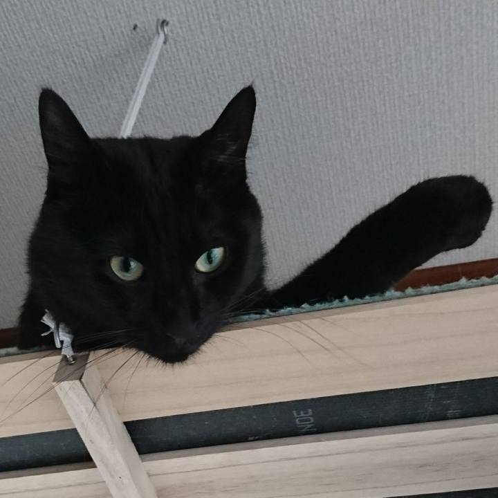 538792be c258 4046 956f da89588226bb 1525067867134