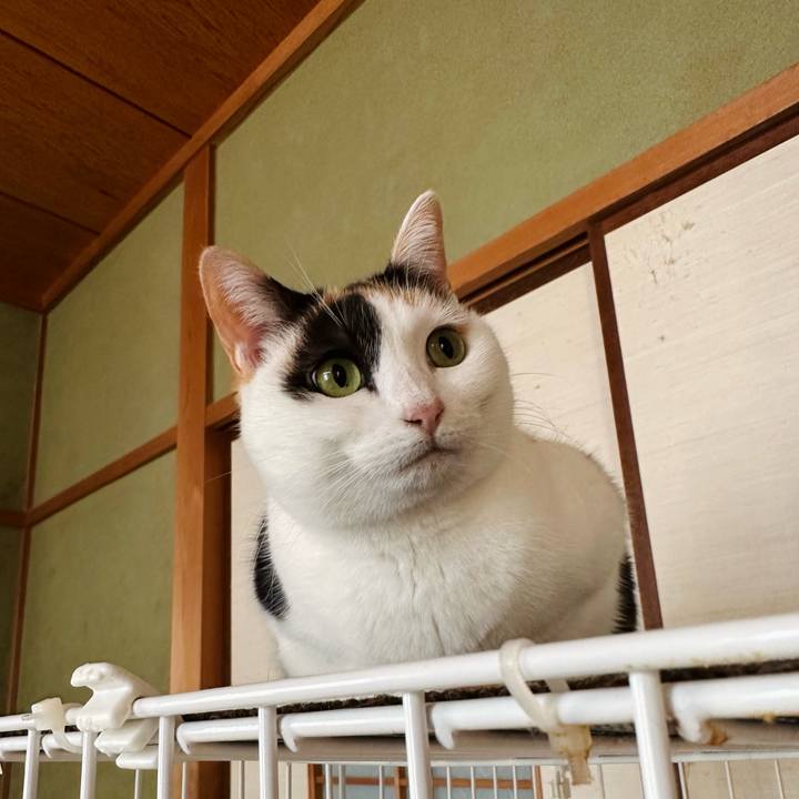 53879d54 5646 4cb4 98df dfed0065c91b 1674612692383