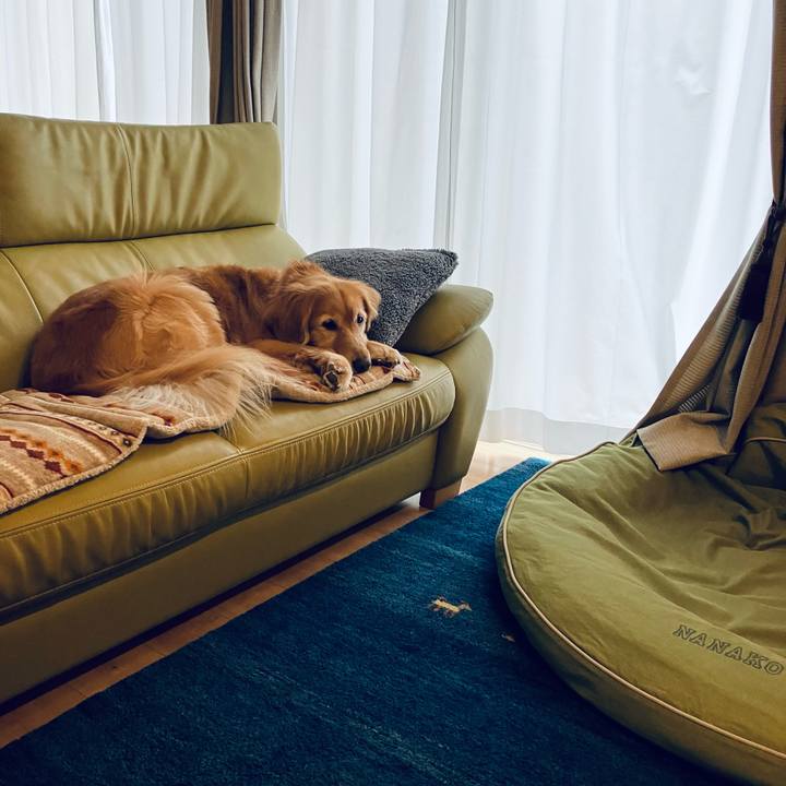 5387a022 1001 4fa7 bf96 425418019f35 1743575921711