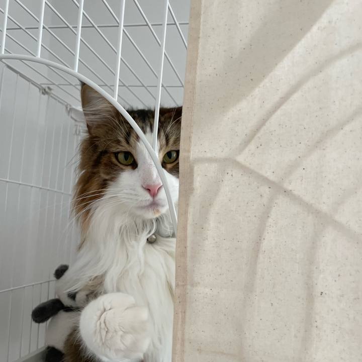 53883581 a149 4f16 9d51 0c66aa840f97 1668905322729