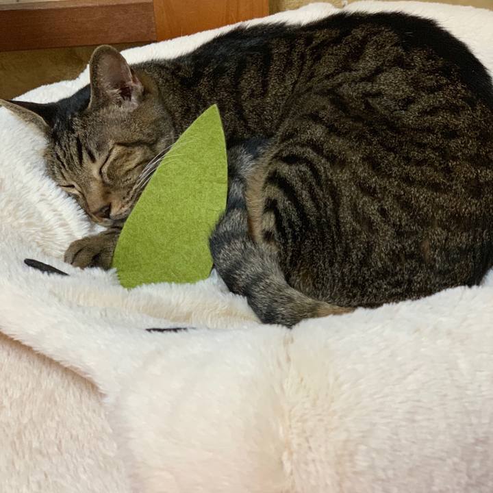 53885283 3d3e 4ced b6d3 0814c3c61308 1540429636039