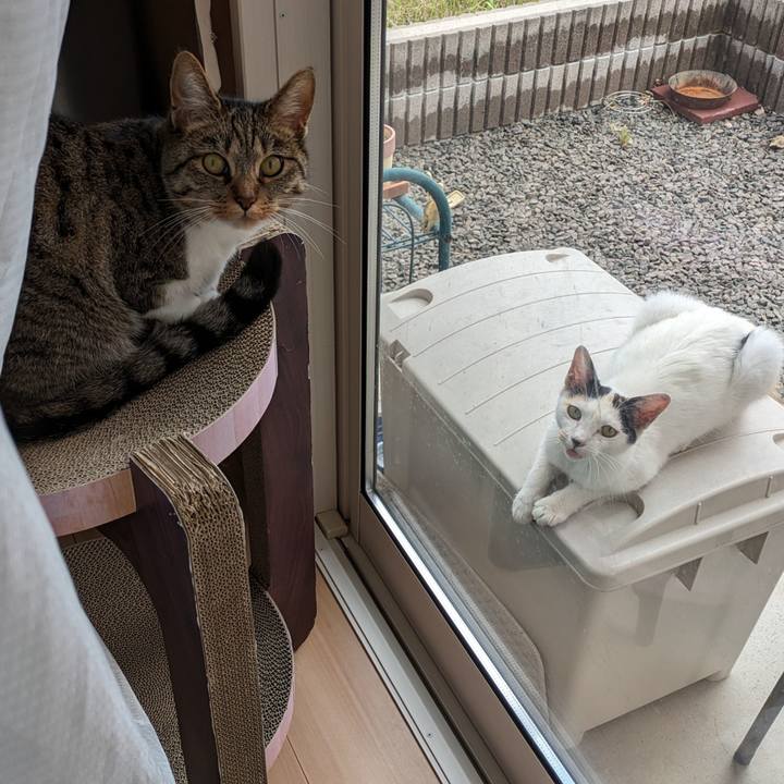 5388a2c4 af4b 48c4 8af7 6fd6347eb82b 1717387105336