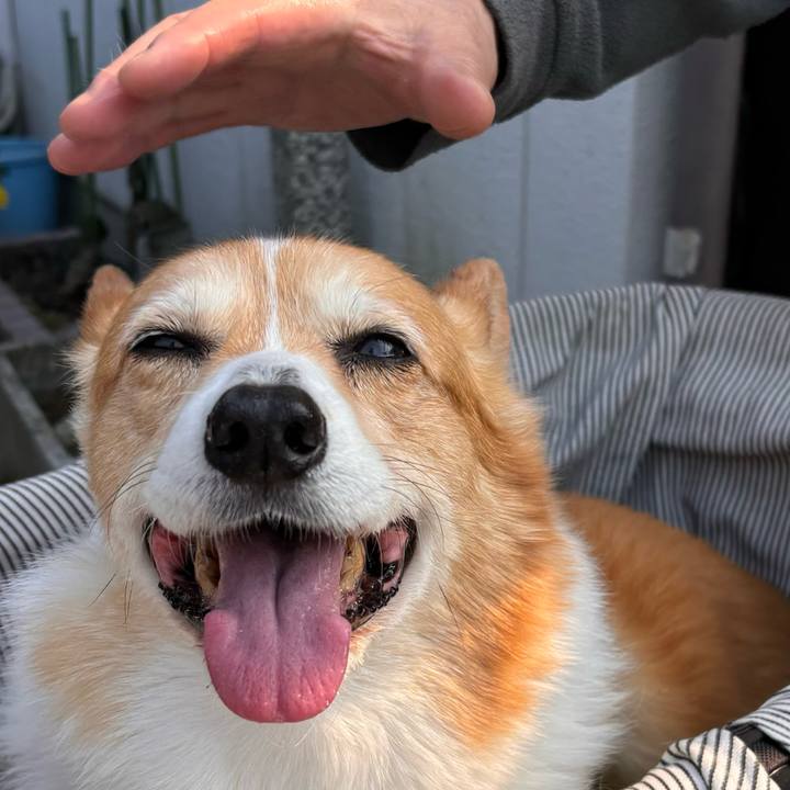 5388b7a9 cb01 4648 ba8d 3de6d2017587 1774743176913