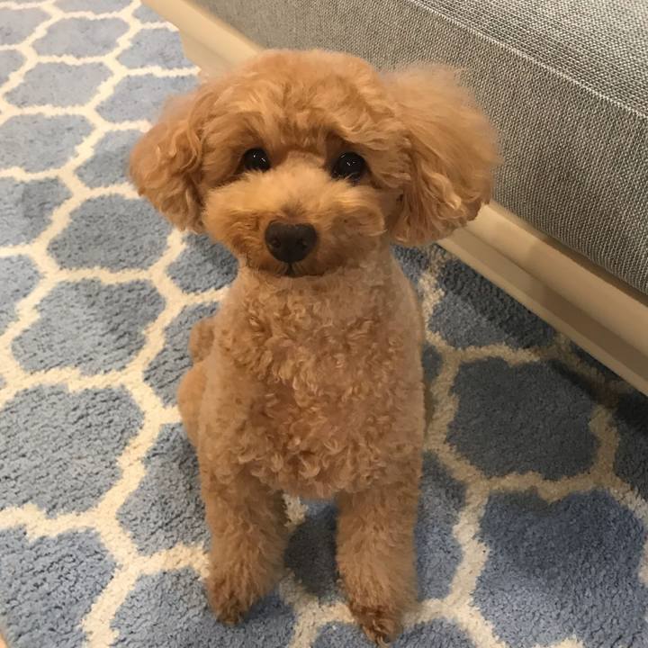 5388c3c7 8813 43e3 84b8 681b71353e52 1549535118127