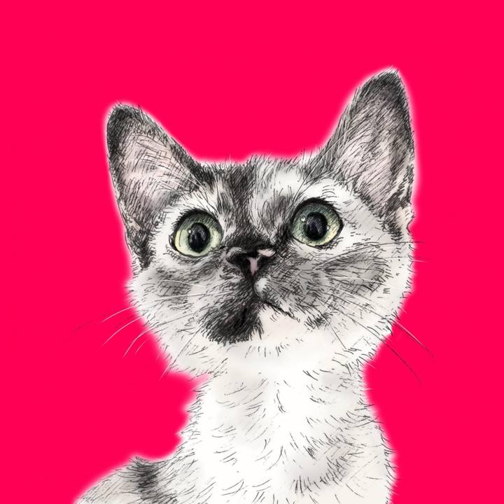 5388d8b2 4b23 4c83 b4b9 3fadac8d28a0 1570976078451