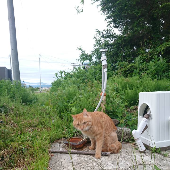 5388e127 9133 41fd 85d0 e19f60ca7c81 1654375007943