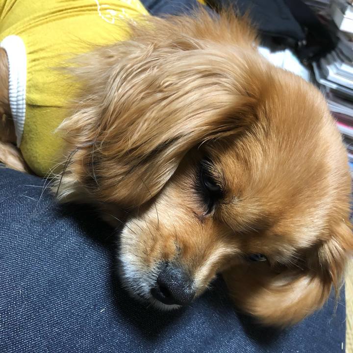 5388f333 834c 4ec5 8238 431deb3f12ac 1518473476366