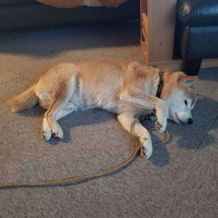 5388ff4d 2262 404d b722 7ebf6aa24cd6 1705187910621