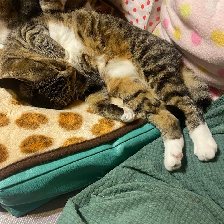 5389400b 820c 4a41 81e3 a2cd60a97f6a 1620131293739