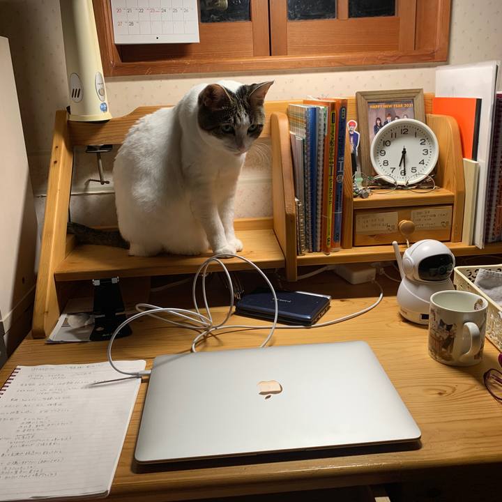 53895d5d 9cd7 48c9 ac85 efdc1b391794 1645910930067