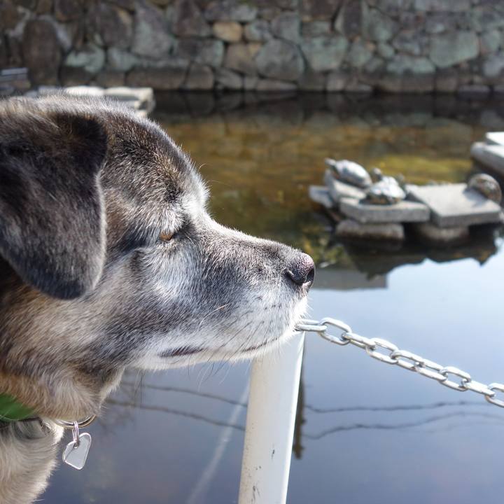 538961fb 4ab6 4208 97b5 345eb641c998 1631234700209