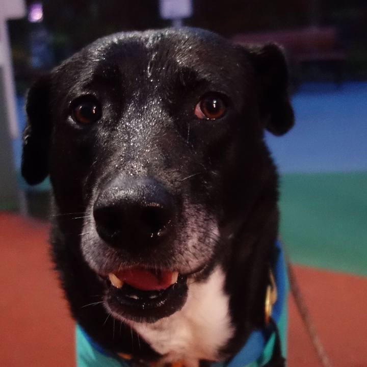 53896c0c b215 4ffa 9425 61a79824cdbc 1684059884637