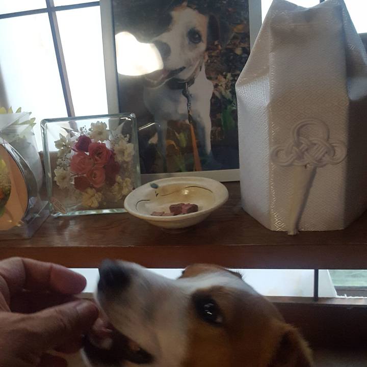 53897c72 4244 41fe 9b1f 99eb19f97744 1565778398440