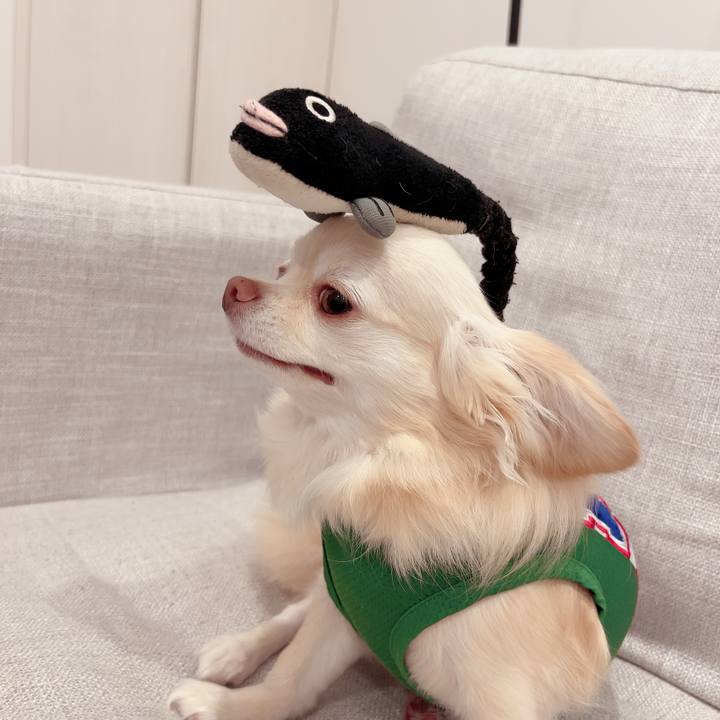 5389825f 5284 4ff9 8a02 1311c66a9b22 1719489341183