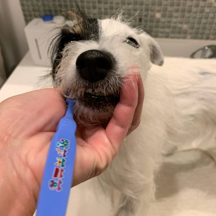 5389a01e e3cc 47e8 b258 84c22714ab81 1667737173120