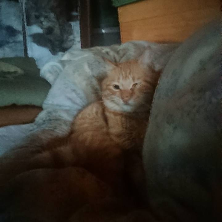 5389afb3 59bc 470e a215 999a90adef72 1660856575604