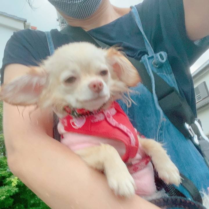 5389b87b e5e0 43c9 b185 3a4a7d20de88 1626257019445