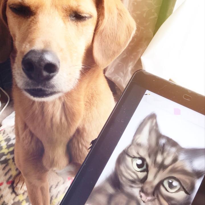 5389ce70 294b 458d b91e df5ef7c2d42b 1522893616476