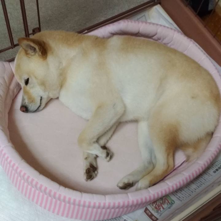 5389e90a 5082 4952 ac91 ba1404f79a69 1593265187194