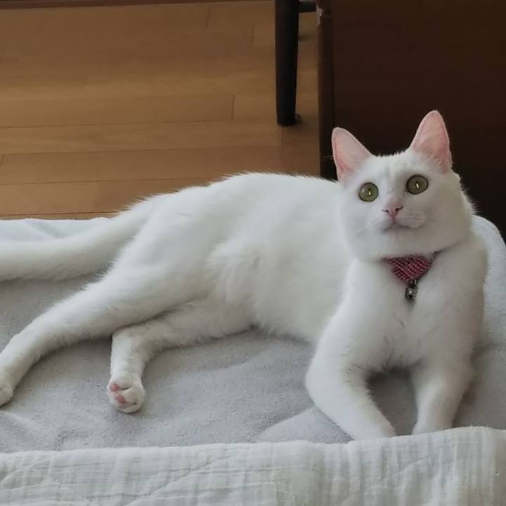 5389f16a f51c 4fec adeb c72a49aec477 1624939660659