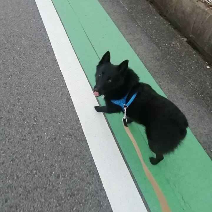 5389f371 260f 46fa 94fb 66e76bb8add0 1632691050540