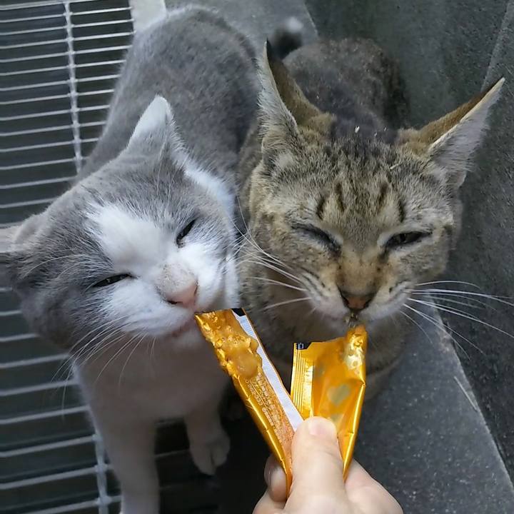 538a0dc9 8578 48e3 bfca 97c556a24bd3 1520376797219