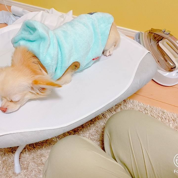 538a21fd 8ff8 4d68 b057 817c772d86d5 1634553828129